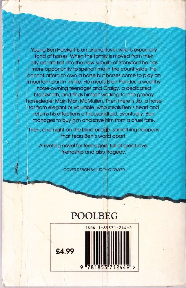 June Considine / View from a Blind Bridge