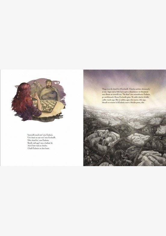 Máire Zepf  & Shona Shirley Macdonald - An Feileacán agus an Rí - HB - As Gaeilge - BRAND NEW - 2020 - Illustrated