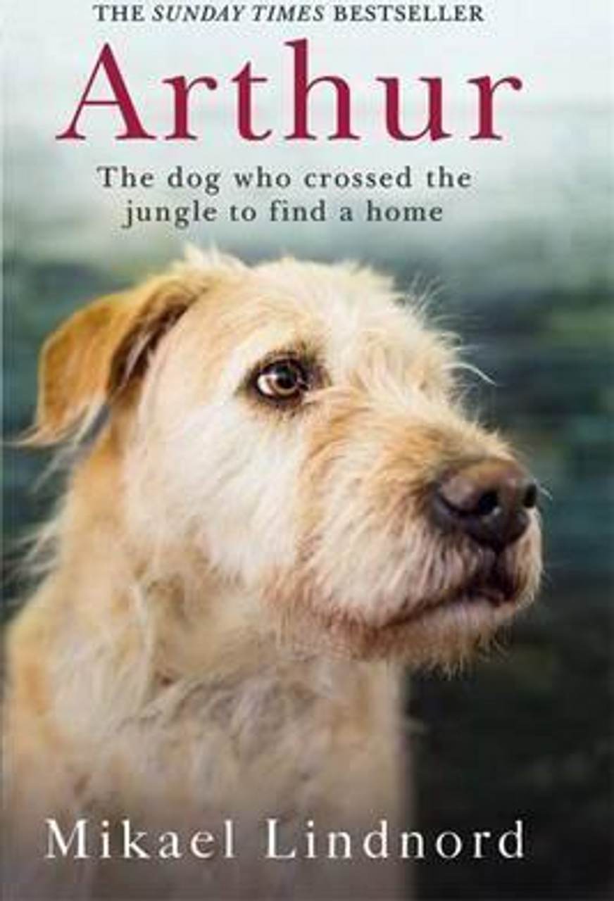 Mikael Lindnord / Arthur (Hardback) Mikael Lindnord / Arthur (Hardback)