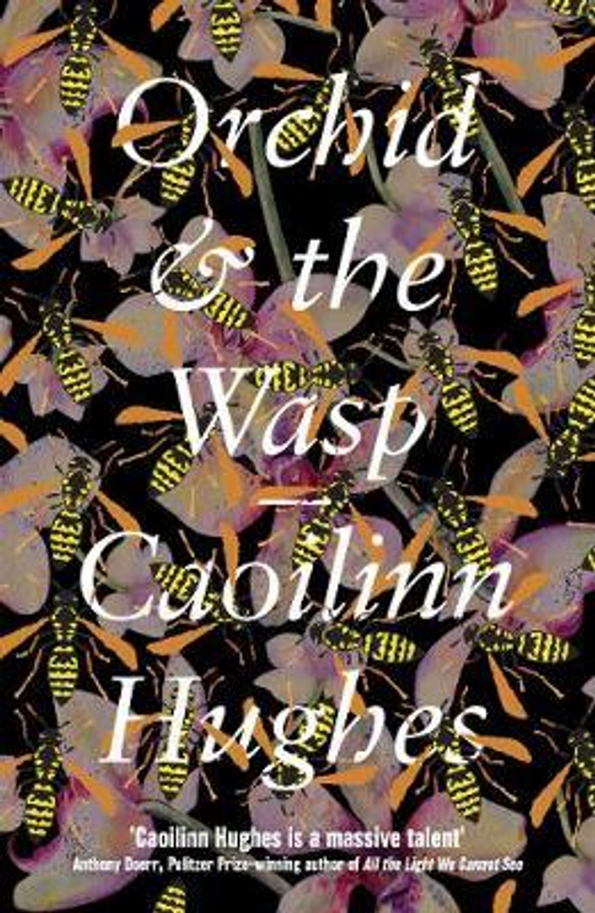 Caoilinn Hughes / Orchid and the Wasp