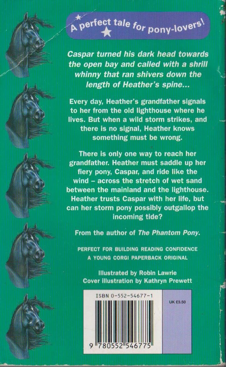 Peter Clover / The Storm Pony