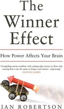 Ian Robertson / The Winner Effect : How Power Affects Your Brain (Large Paperback)