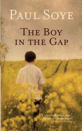 Paul Soye / The Boy in the Gap (Large Paperback)