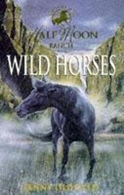 Jenny Oldfield / Wild Horses : Book 1