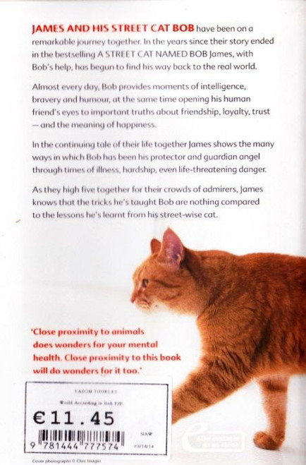 James Bowen / The World According to Bob