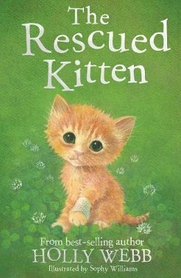 Holly Webb / The Rescued Kitten