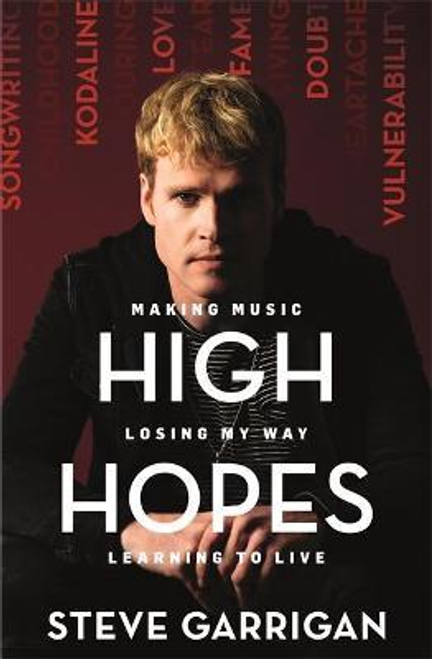 Steve Garrigan / High Hopes (Large Paperback)