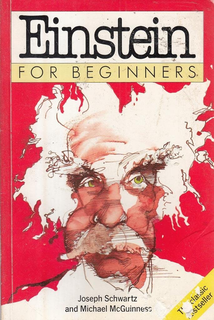 Schwartz, Joseph / Einstein For Beginners (Large Paperback)