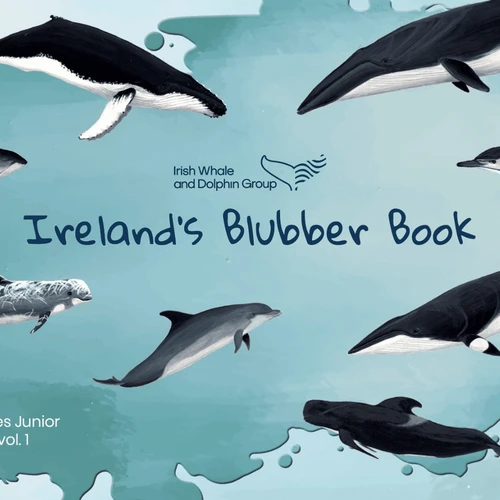 Ireland’s Blubber Book (Children's Picture Book)