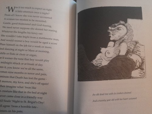 Brian Merriman - The Midnight Court ( Cúirt an Mhean Oíche ) PB ( Translated by Frank O'Connor)
