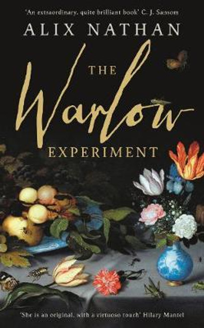 Alix Nathan / The Warlow Experiment (Hardback)