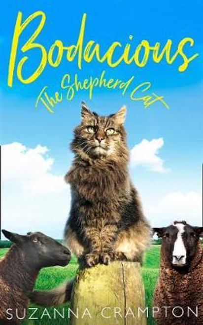 Suzanna Crampton / Bodacious: The Shepherd Cat (Hardback)