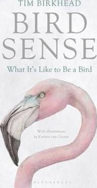 Tim Birkhead / Bird Sense : What It's Like to Be a Bird (Hardback)