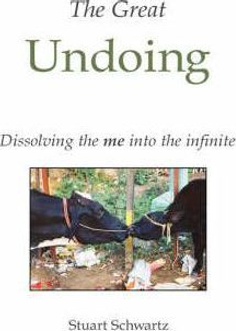 Stuart Schwartz / The Great Undoing