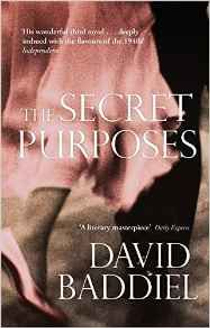 David Baddiel / The Secret Purposes