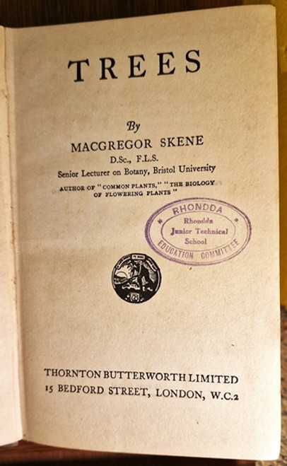 1927 Trees by Macgregor Skene