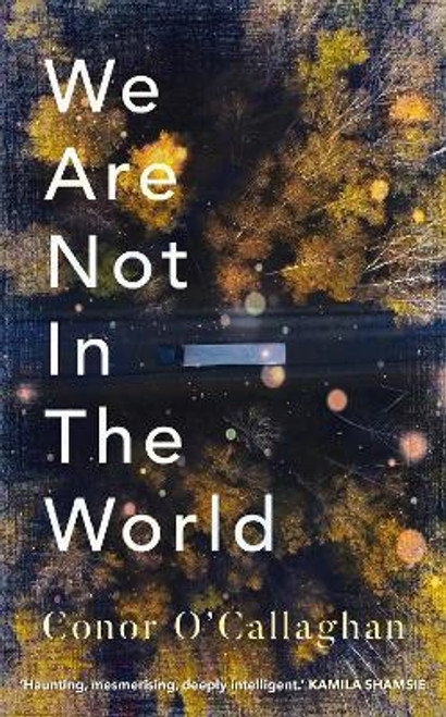 Conor O'Callaghan / We Are Not in the World (Large Paperback)