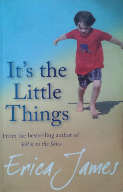 Erica James / It's the Little Things