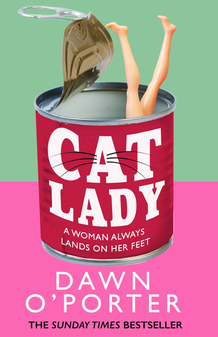 Dawn O'Porter / Cat Lady (Large Paperback)