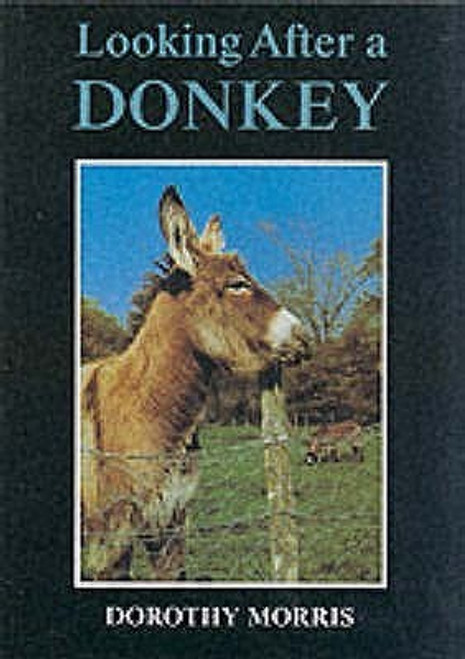 Dorothy Morris / Looking After a Donkey (Large Paperback)