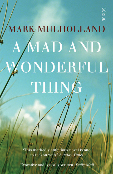 Mark Mulholland / A Mad and Wonderful Thing