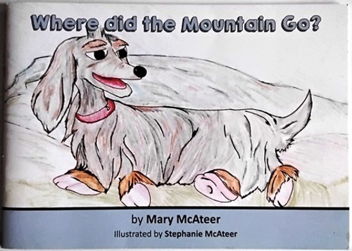 Mary McAteer / Where did the Mountain Go? (Children's Picture Book)