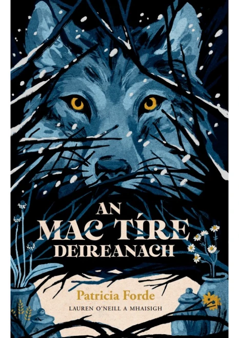 Patricia Forde - An Mac Tíre Deireanach - PB - BRAND NEW
