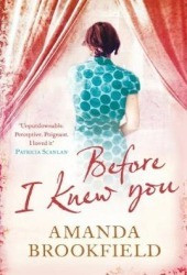 Amanda Brookfield / Before I Knew You