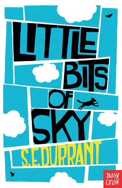 S.E. Durrant / Little Bits of Sky