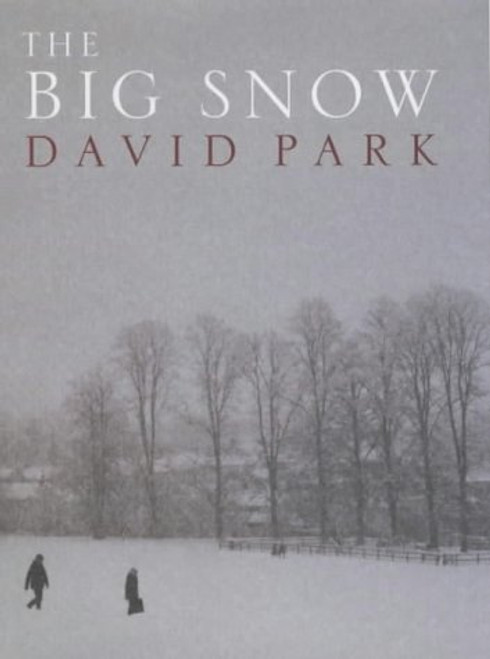 David Park / The Big Snow (Hardback)
