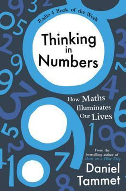 Daniel Tammet / Thinking in Numbers : How Maths Illuminates Our Lives (Large Paperback)