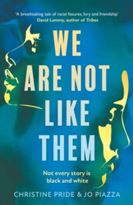 Christine Pride & Jo Piazza / We Are Not Like Them (Large Paperback)