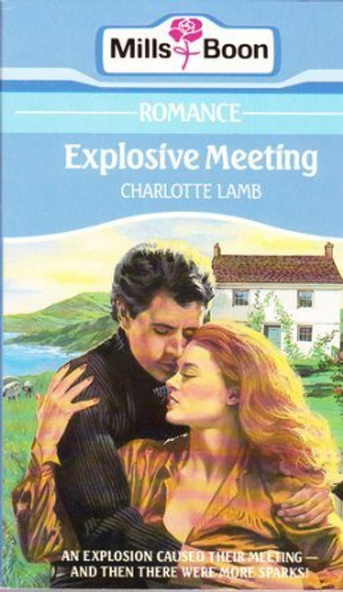 Mills & Boon / Explosive Meeting