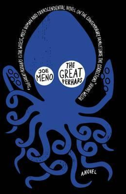 Joe Meno / The Great Perhaps (Hardback)
