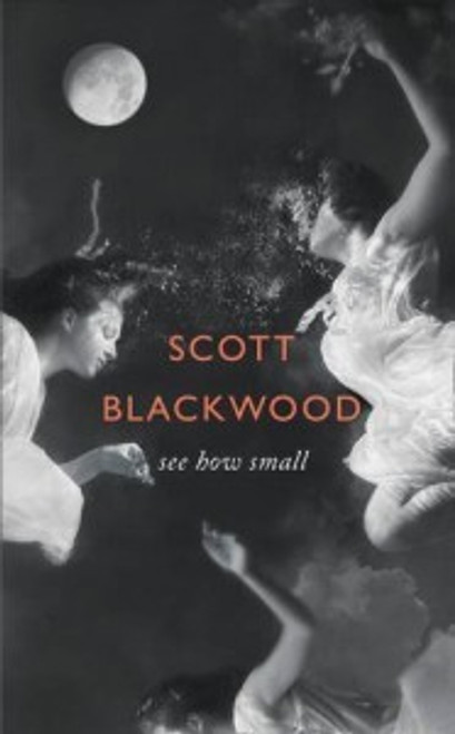 Scott Blackwood / See How Smal l: A Novel (Hardback)