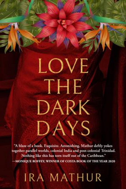 Ira Mathur / Love The Dark Days (Large Paperback)