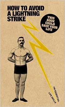 Nic Compton & Kim Davies / How to Avoid a Lightning Strike (Large Paperback)