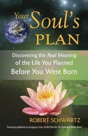 Robert Schwartz / Your Soul's Plan: Discovering the Real Meaning of the Life You Planned Before You Were Born (Large Paperback)
