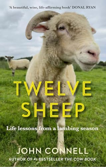 John Connell / Twelve Sheep : Life Lessons from a Lambing Season (Hardback)