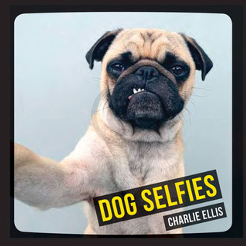 Charlie Ellis / Dog Selfies (Hardback)