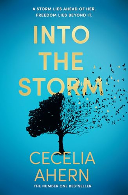 Cecelia Ahern / Into the Storm (Large Paperback)