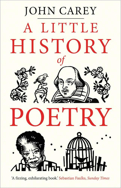 John Carey / A Little History of Poetry (Large Paperback)