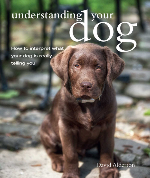 David Alderton / Understanding Your Dog: How to interpret what your dog is really telling you (Coffee Table Book)