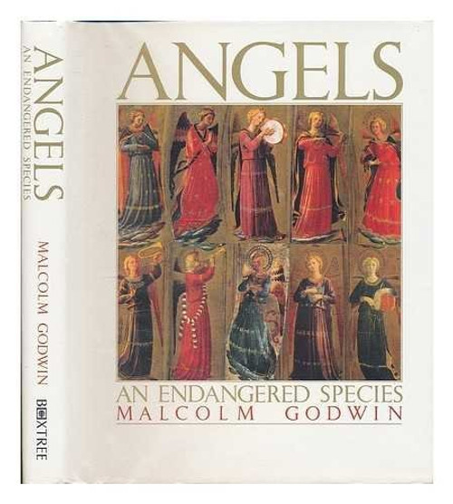 Malcolm Godwin / Angels : An Endangered Species (Coffee Table Book)