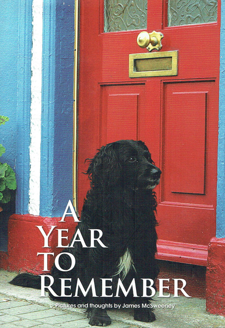 James McSweeney / A Year to Remember: Pictures and Thoughts by James McSweeney (Coffee Table Book)