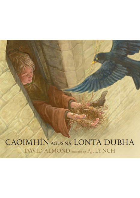 David Almond & P.J Lynch - Caoimhín agus na Lonta Dubha - PB