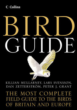 Lars Svensson / Bird Guide (Large Paperback)