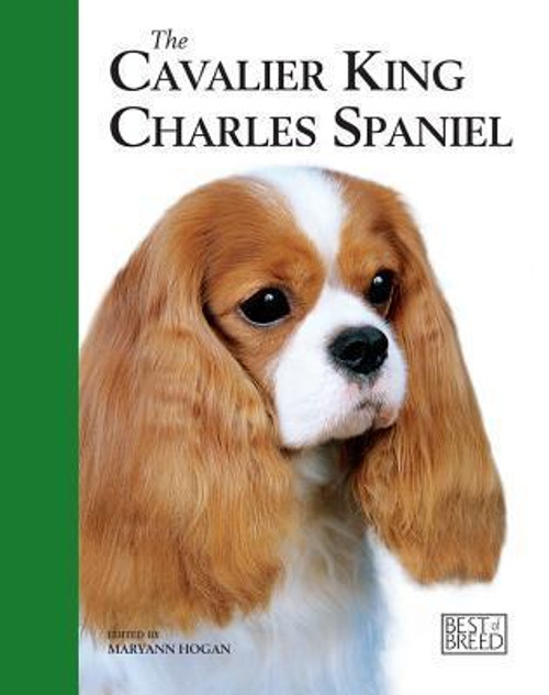 Maryann Hogan / Cavalier King Charles Spaniel (Coffee Table Book)