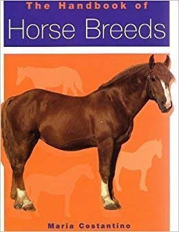 Maria Costantino / The Hanbook of Horse Breeds (Hardback)