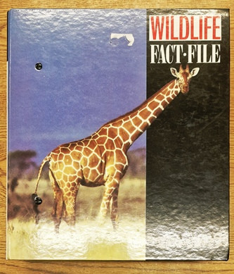 Wildlife Fact File (1 Book Collection)